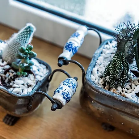 住宿加早餐酒店 Murat Otto 的里雅斯特