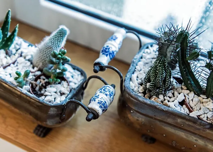 Bed & Breakfast Murat Otto Terst